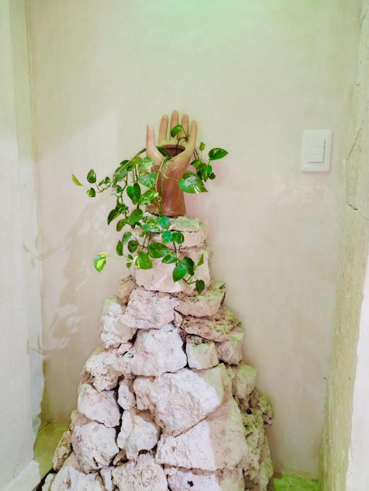 Hotel Sacbe Cobá Kültér fotó